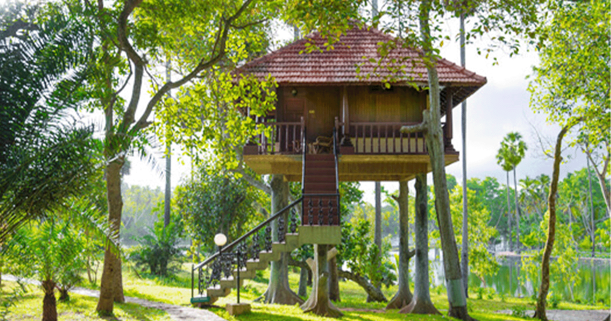 Tree House - The Isola Di Cocco - Kerala