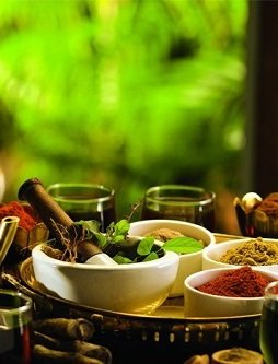 Ayurveda-panchakarma-Treatment