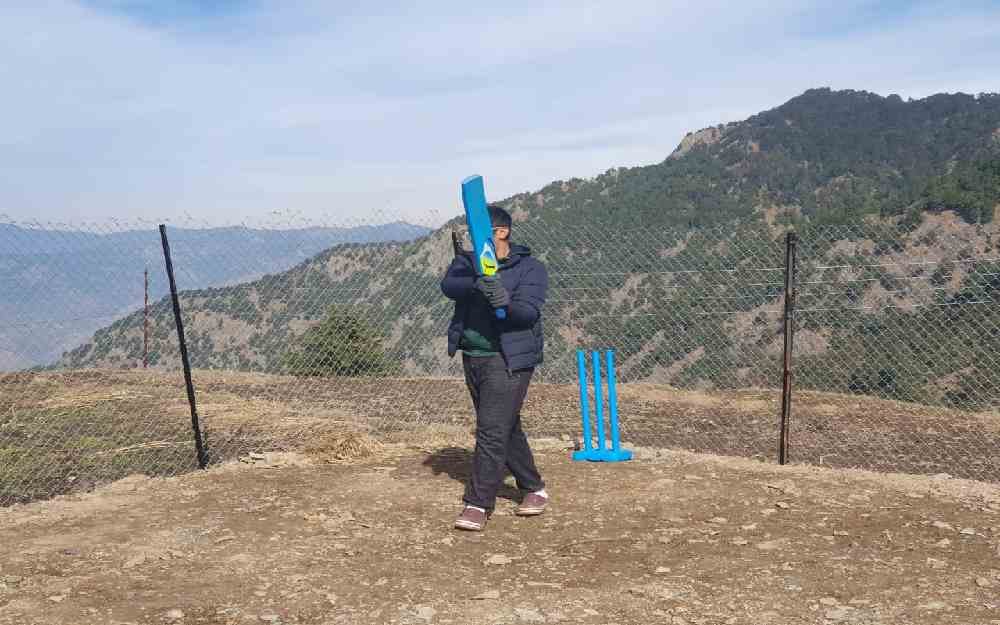 Cricket